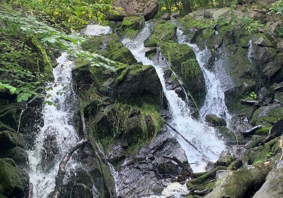 Bornholm-Ausflug Wasserfall.jpg