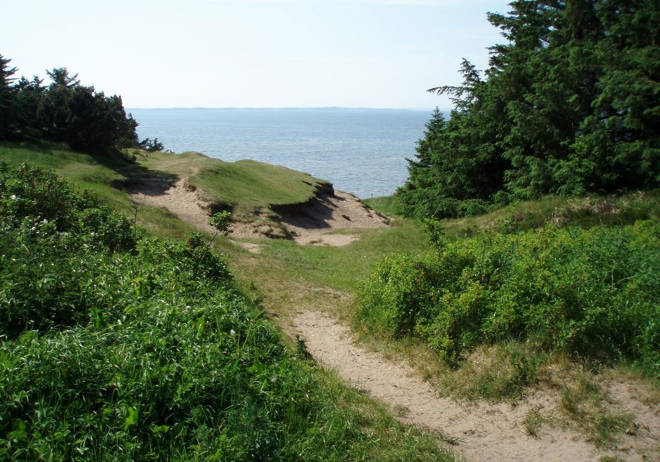 reise-werk-gruppenhaus-daenemark-limfjord_lejren (1) (Copy).jpg