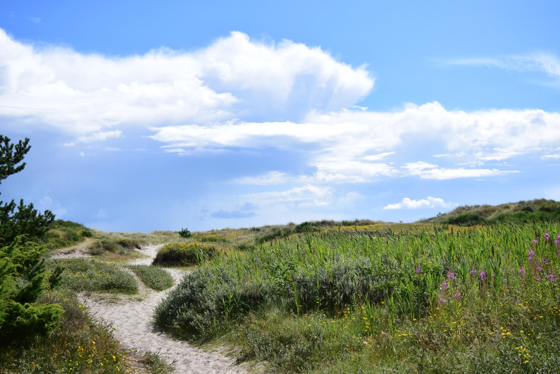 reise-werk-gruppenhaus-daenemark-klitten (22) (Copy).JPG