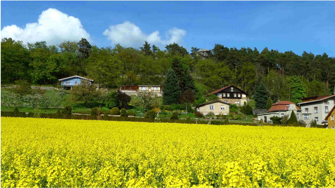 Christliches Gästehaus Bibelheim Blankenburg