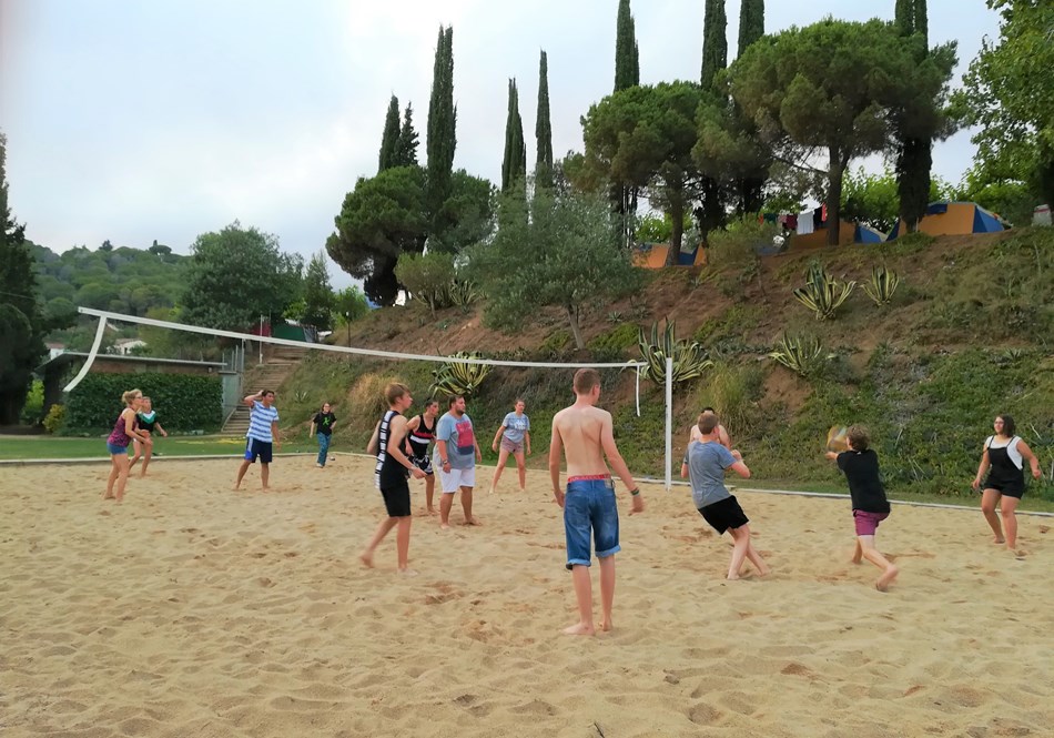 Volleyball groß_1.jpg