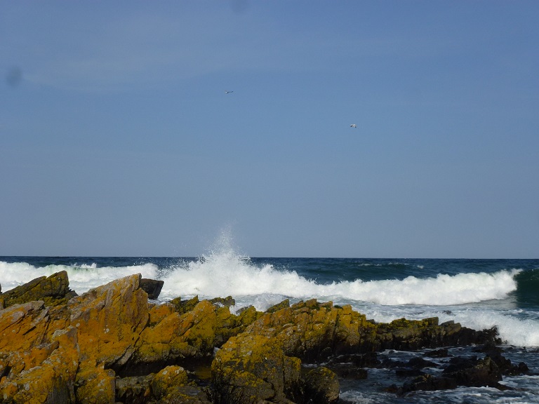 reise-werk-gruppenhaus-daenemark-klippen (5).JPG