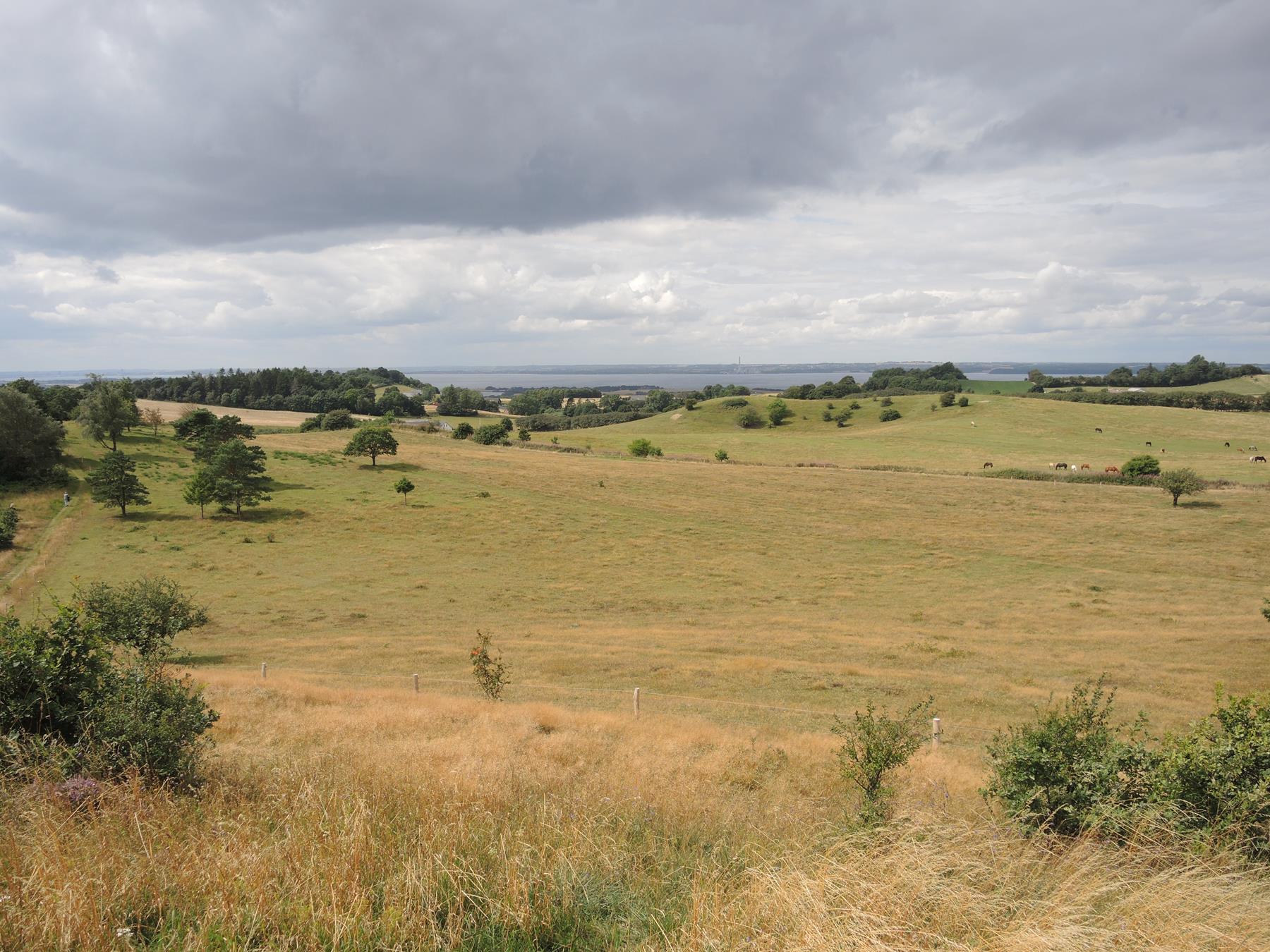 reise-werk-gruppenhaus-daenemark-syddjurs_strandhaus (23) (Copy).JPG