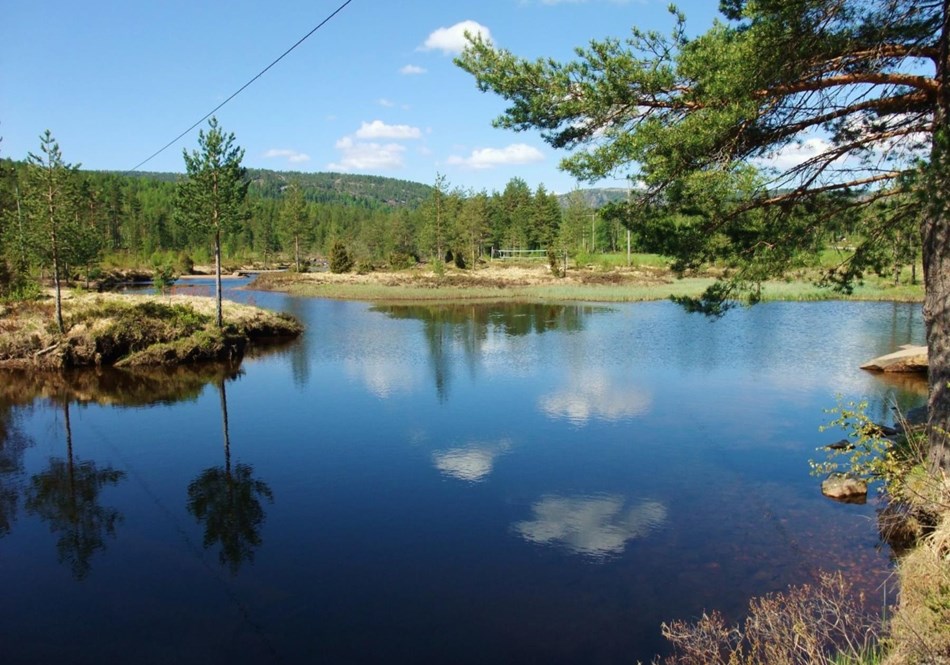 reise-werk-gruppenhaus-norwegen-fjelltun (6) (Copy).jpg