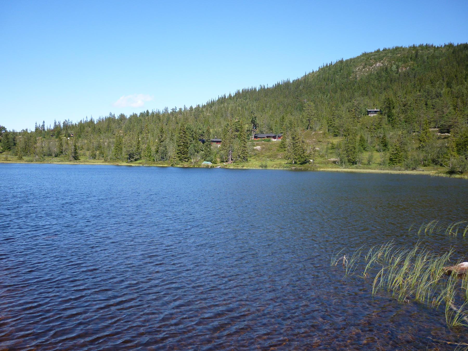 reise-werk-gruppenhaus-norwegen-hjartdal (21) (Copy).JPG