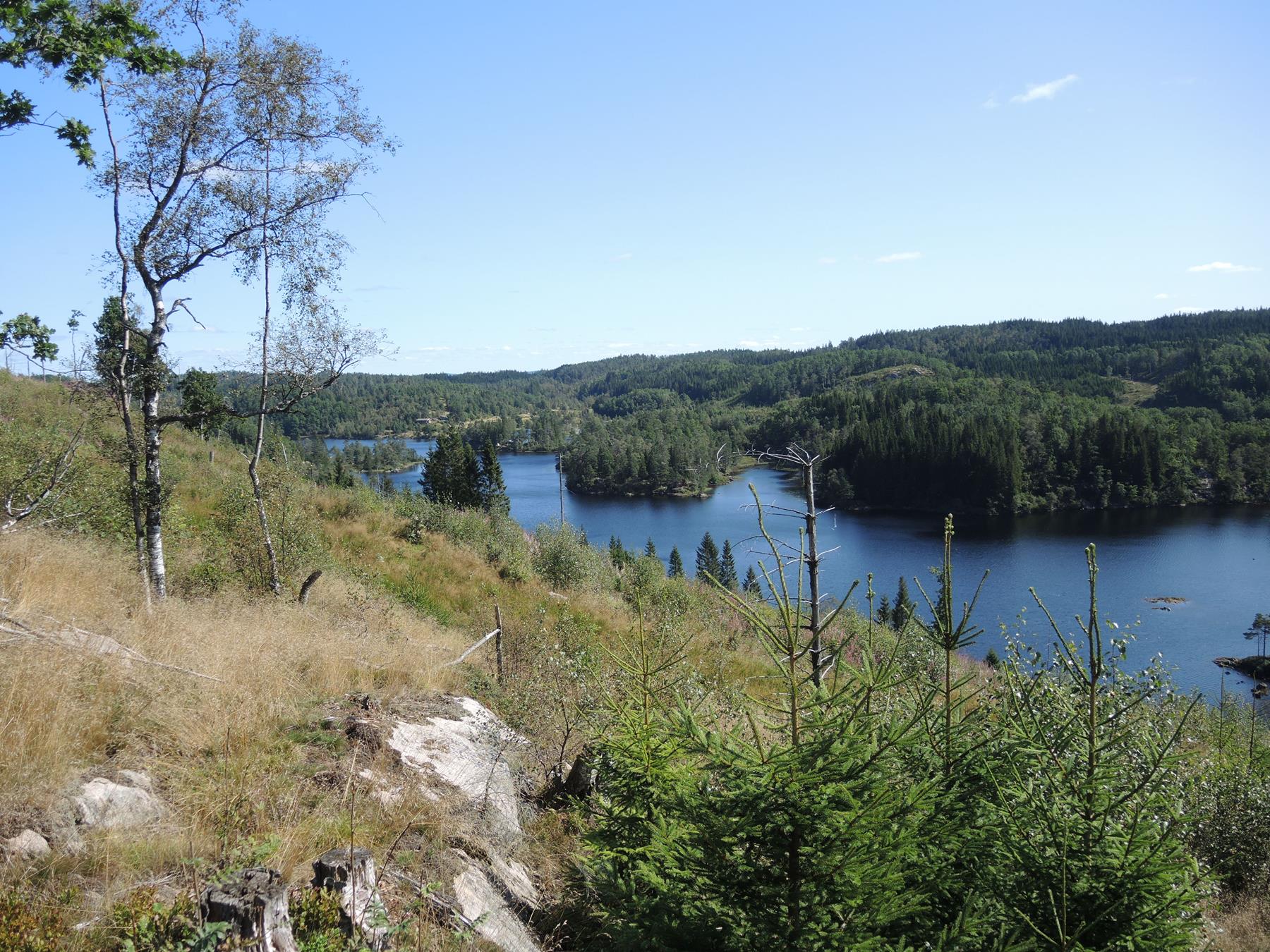 reise-werk-gruppenhaus-norwegen-vigmostadhytta (3) (Copy).JPG