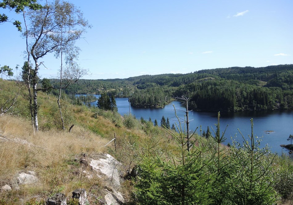 reise-werk-gruppenhaus-norwegen-vigmostadhytta (3) (Copy).JPG