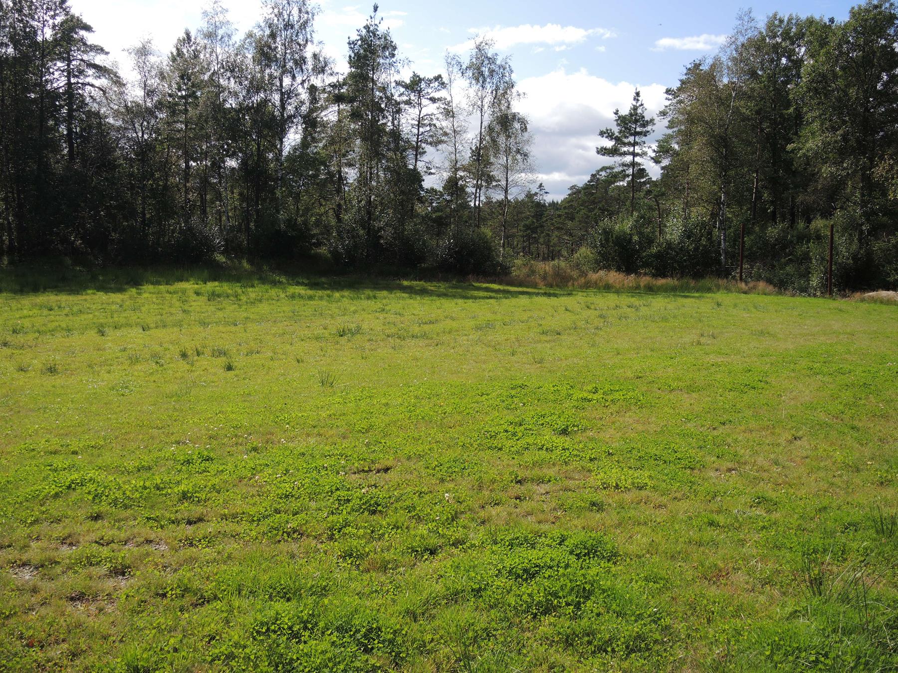 reise-werk-gruppenhaus-norwegen-vigmostadhytta (5) (Copy).JPG