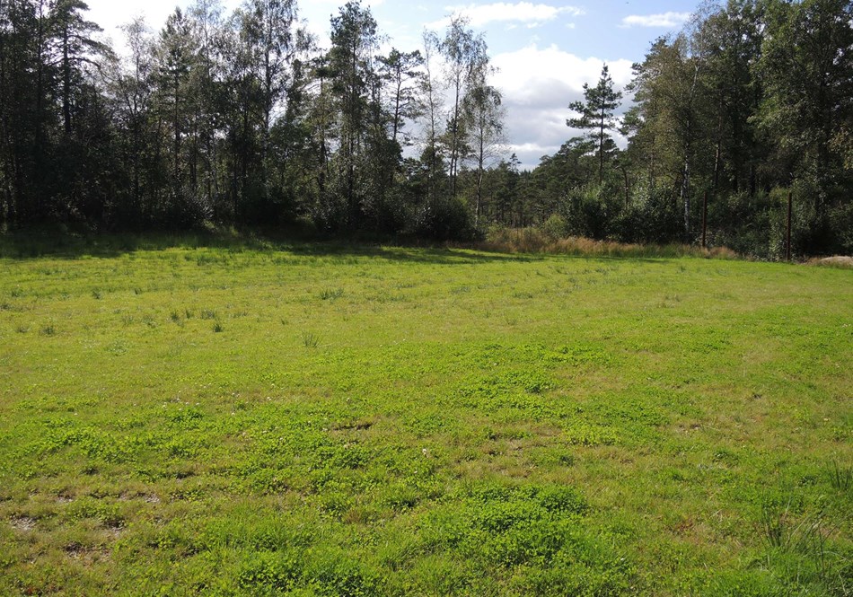 reise-werk-gruppenhaus-norwegen-vigmostadhytta (5) (Copy).JPG