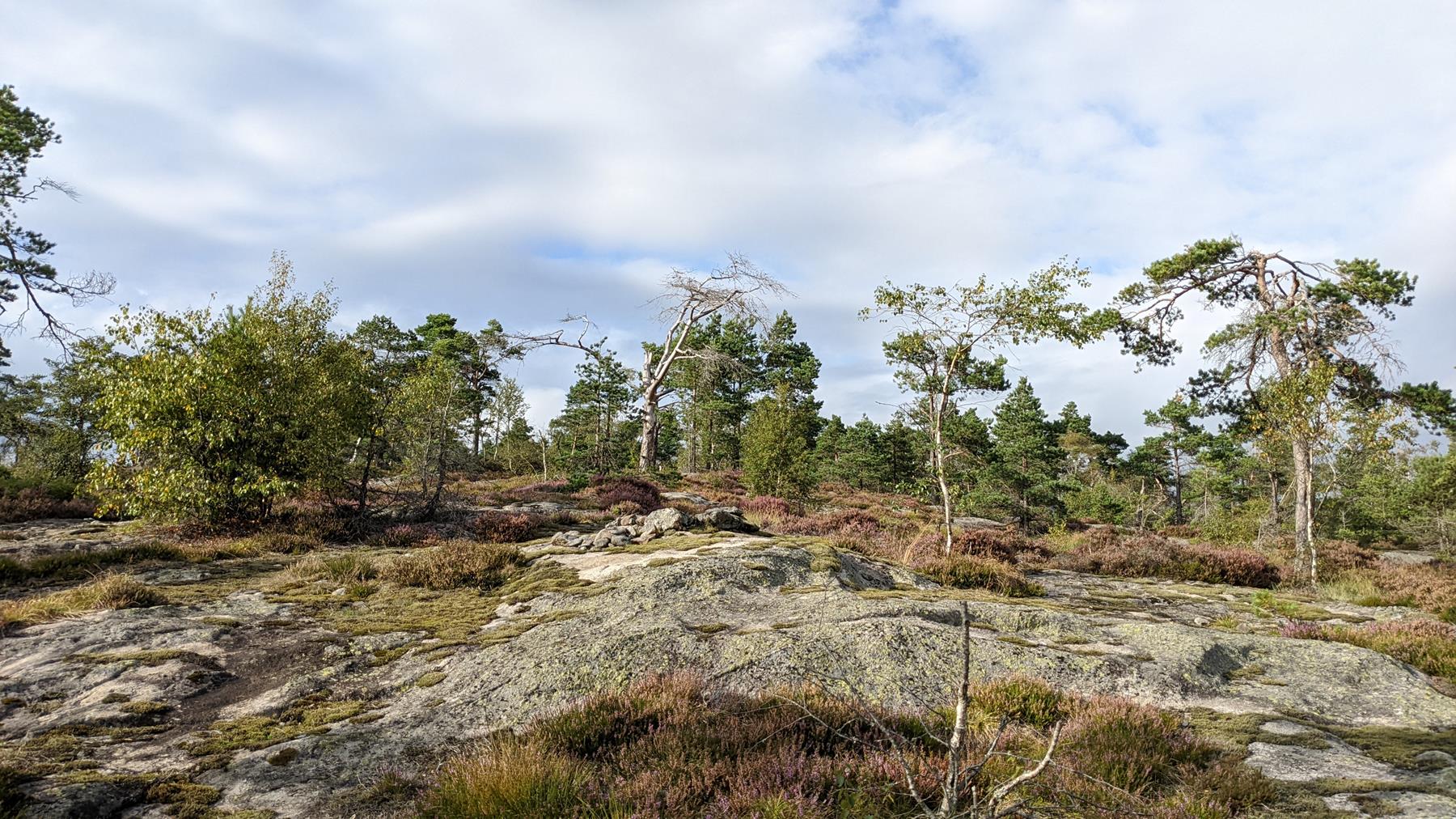 reise-werk-gruppenhaus-norwegen-vigmostadhytta (10) (Copy).jpg
