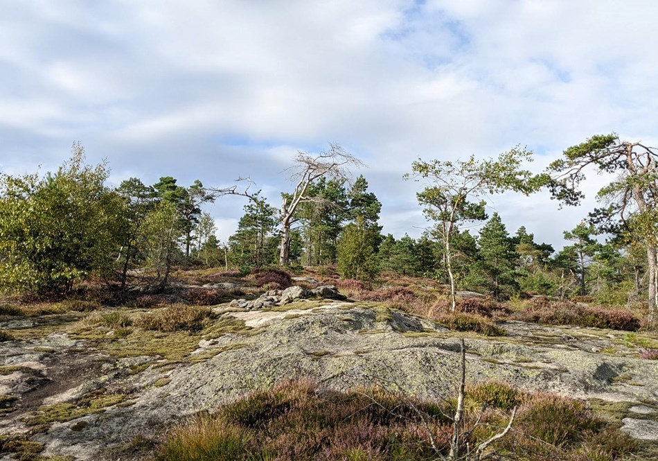 reise-werk-gruppenhaus-norwegen-vigmostadhytta (10) (Copy).jpg