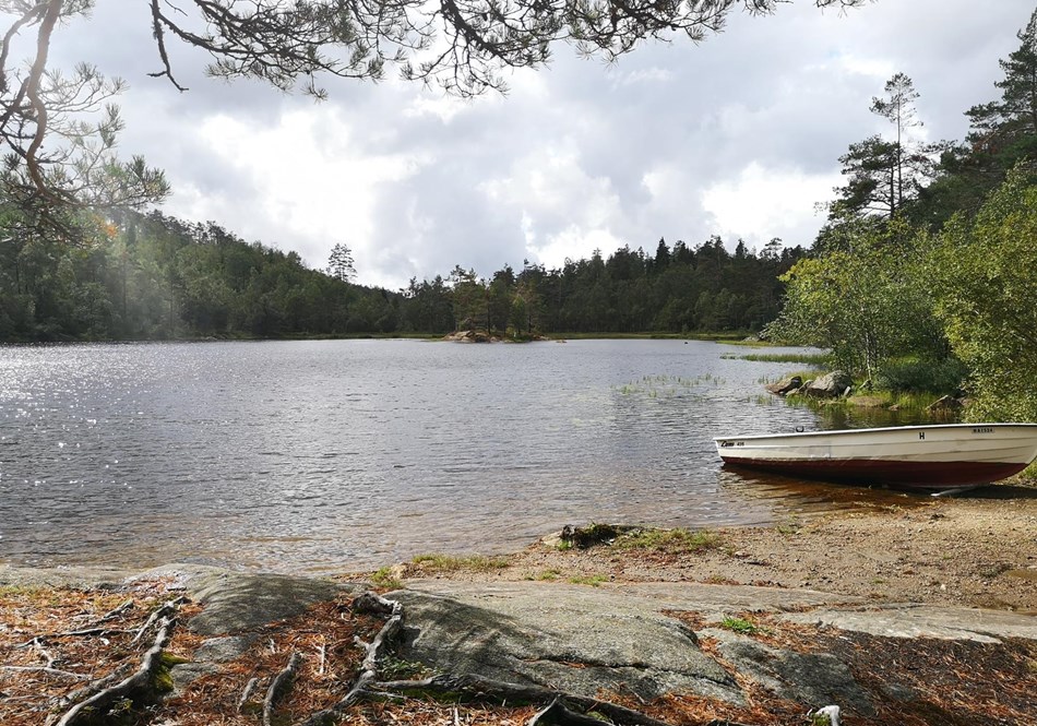 reise-werk-gruppenhaus-norwegen-vigmostadhytta (19) (Copy).jpg