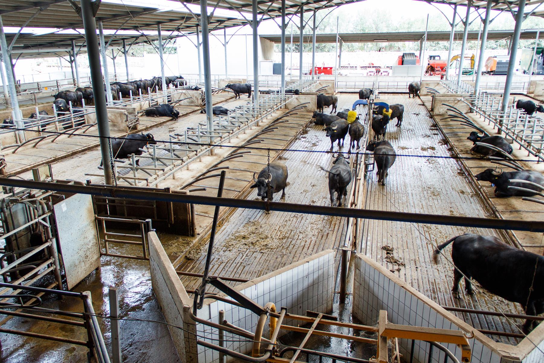 reise-werk-gruppenhaus-italien-casa_amica (3) (Copy).jpg