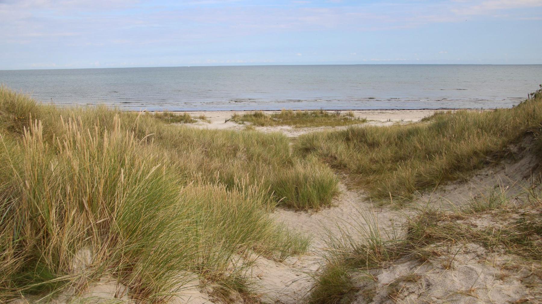 reise-werk-gruppenhaus-daenemark-solsbaekhytten (5) (Copy).jpg