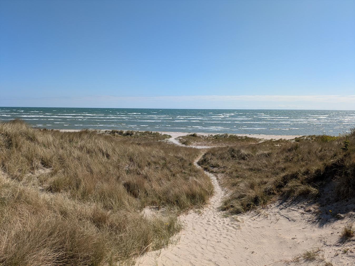 reise-werk-gruppenhaus-daenemark-solsbaekhytten (20) (Copy).jpg