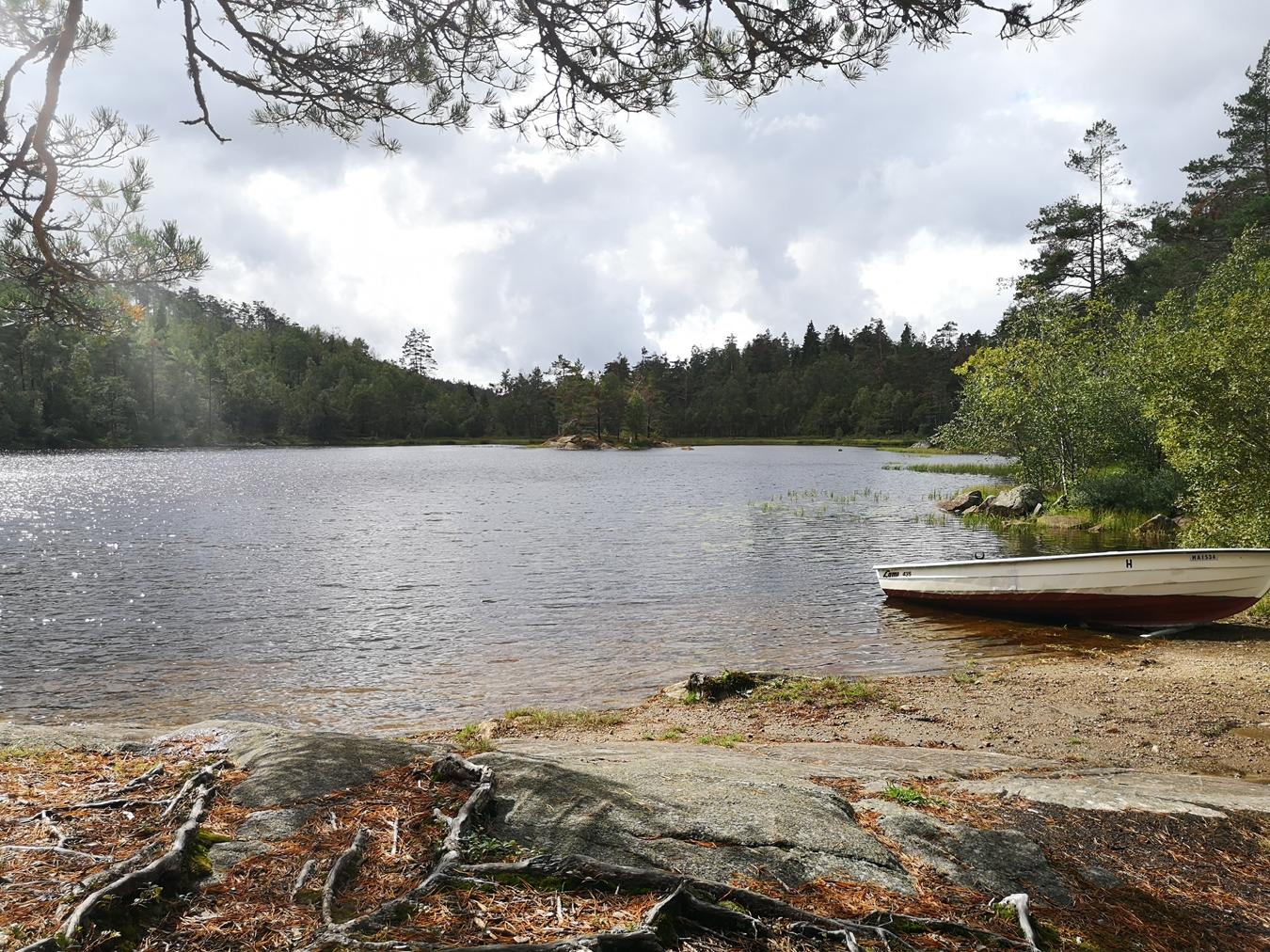 reise-werk-gruppenhaus-norwegen-vigmostadhytta (12) (Copy).jpg